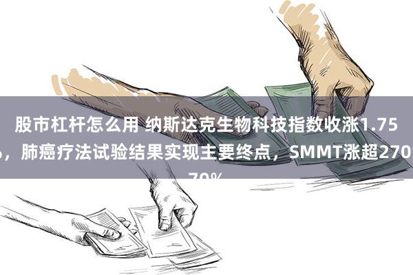 股市杠杆怎么用 纳斯达克生物科技指数收涨1.75%，肺癌疗法试验结果实现主要终点，SMMT涨超270%