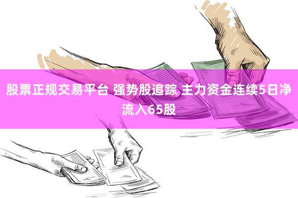 股票正规交易平台 强势股追踪 主力资金连续5日净流入65股