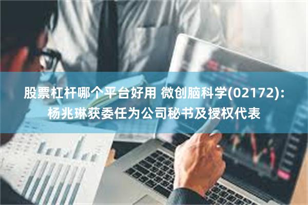 股票杠杆哪个平台好用 微创脑科学(02172):杨兆琳获委任为公司秘书及授权代表