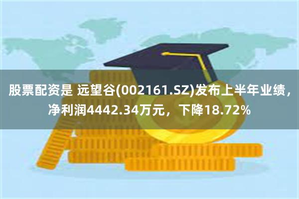 股票配资是 远望谷(002161.SZ)发布上半年业绩，净利润4442.34万元，下降18.72%