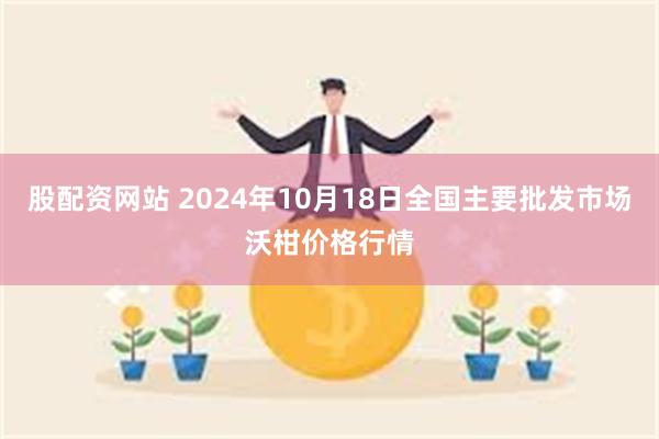 股配资网站 2024年10月18日全国主要批发市场沃柑价格行情