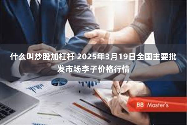 什么叫炒股加杠杆 2025年3月19日全国主要批发市场李子价格行情