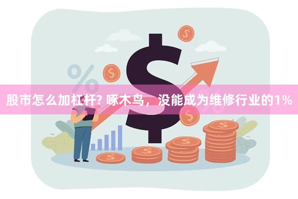股市怎么加杠杆? 啄木鸟，没能成为维修行业的1%