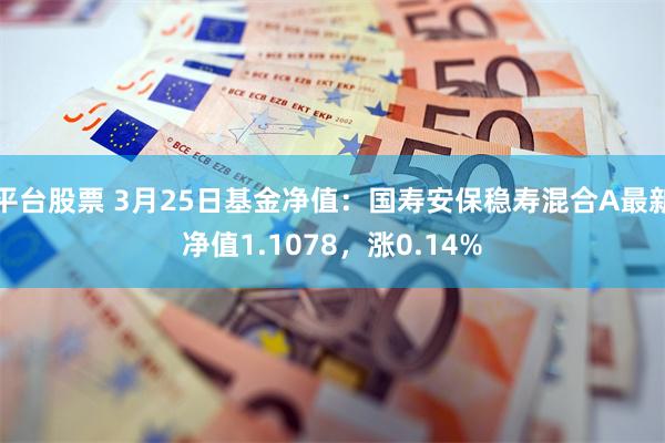 平台股票 3月25日基金净值：国寿安保稳寿混合A最新净值1.1078，涨0.14%