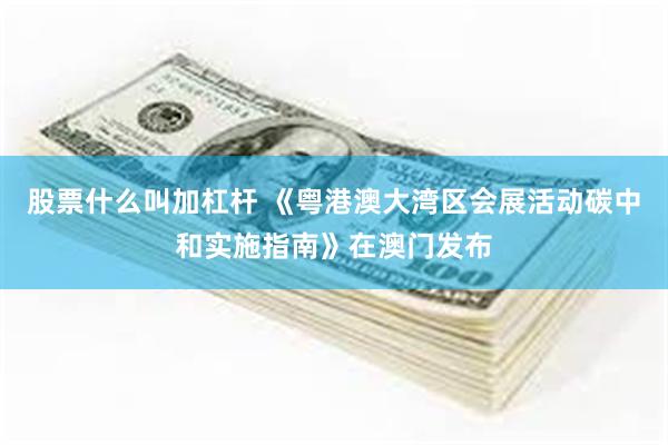 股票什么叫加杠杆 《粤港澳大湾区会展活动碳中和实施指南》在澳门发布