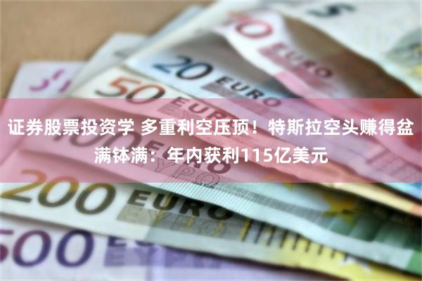 证券股票投资学 多重利空压顶！特斯拉空头赚得盆满钵满：年内获利115亿美元