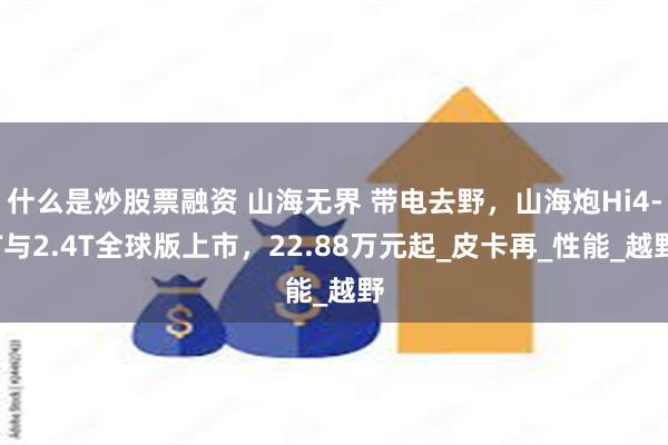 什么是炒股票融资 山海无界 带电去野，山海炮Hi4-T与2.4T全球版上市，22.88万元起_皮卡再_性能_越野